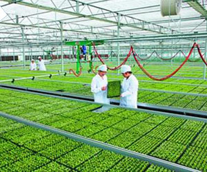 �τ��a�I-�F���r�I